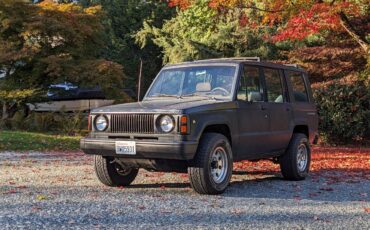 Isuzu-trooper-1991-green-11
