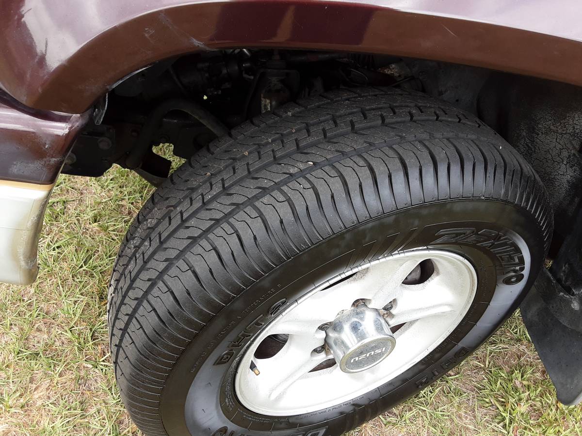 Isuzu-trooper-4x4-1992-purple-12