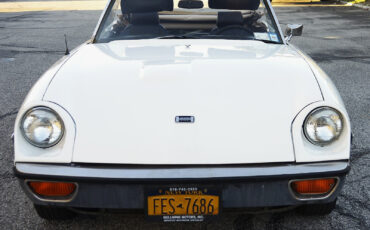 JENSEN-HEALEY-MK-II-CONVERTIBLE-1974-Convertible-1
