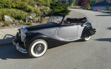Jaguar-1950-2
