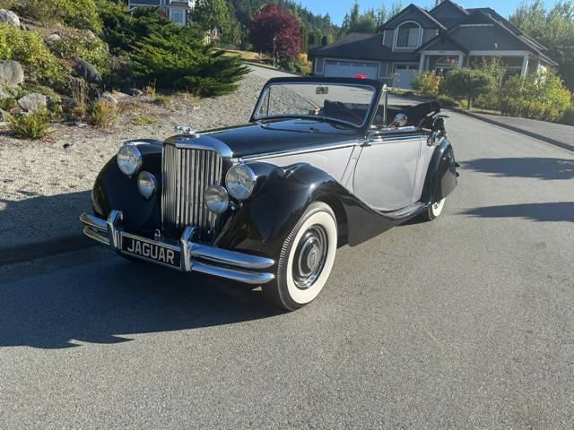 Jaguar-1950-3