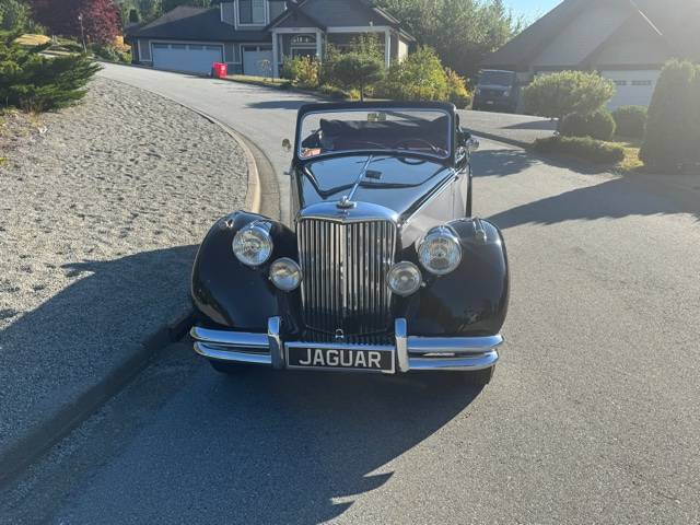 Jaguar-1950-9