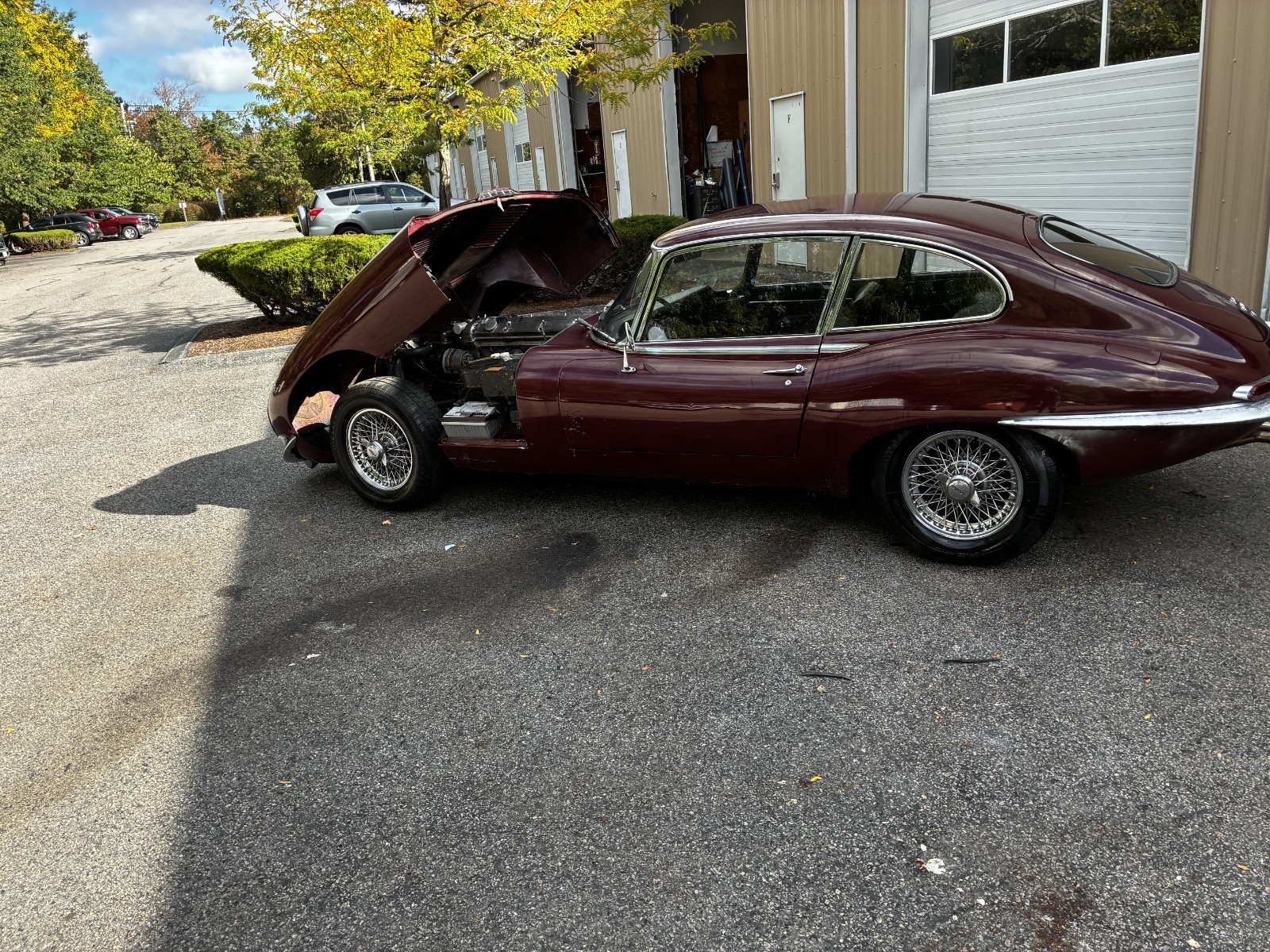 Jaguar-E-Type-1967-Coupe-5