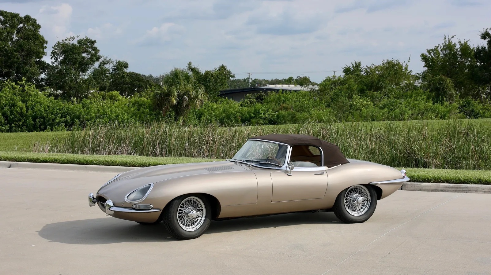 Jaguar-E-type-xke-1965-Opalescent-Golden-Sand-Light-Tan-15