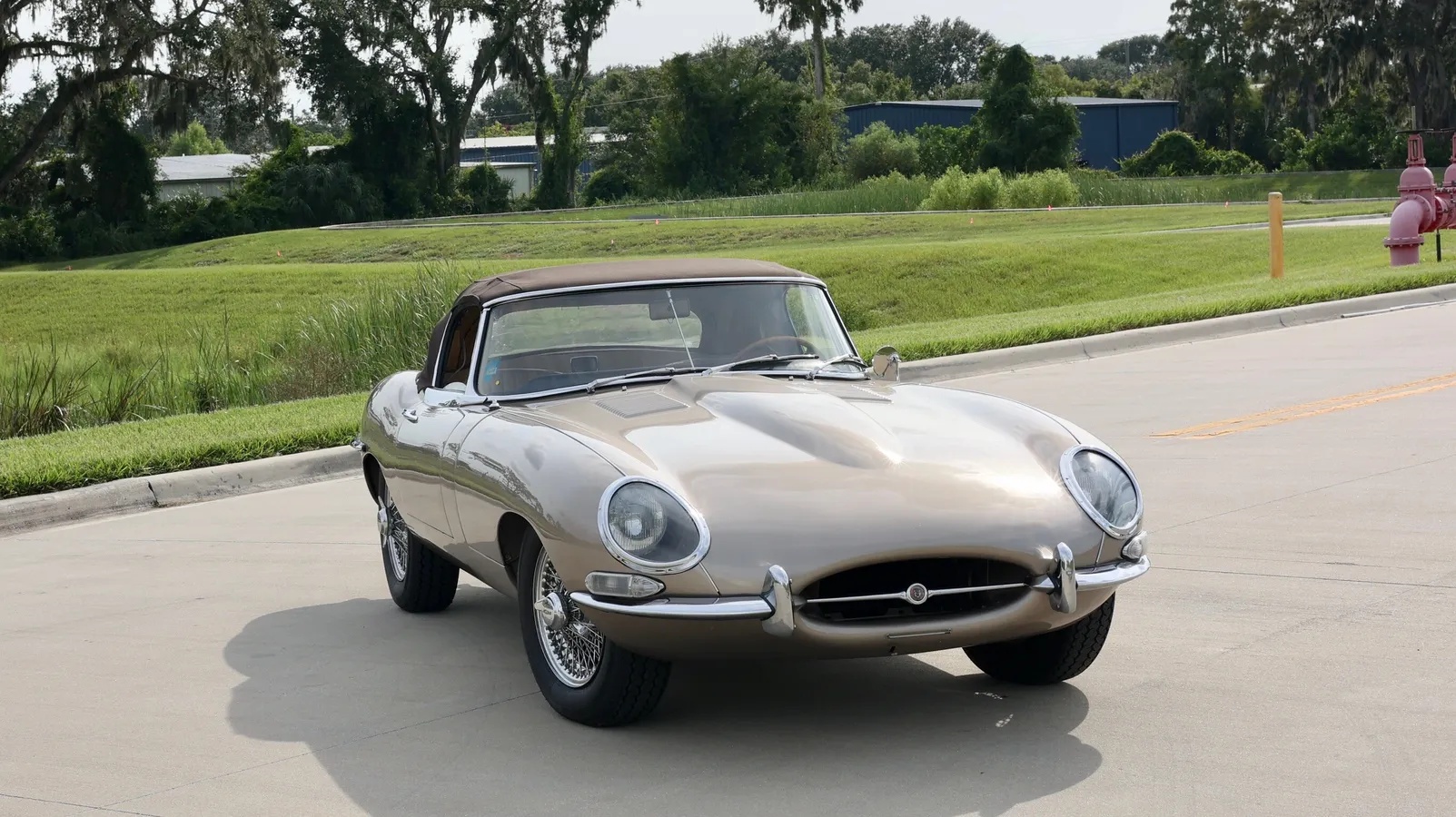 Jaguar-E-type-xke-1965-Opalescent-Golden-Sand-Light-Tan-17