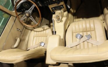 Jaguar-E-type-xke-1965-Opalescent-Golden-Sand-Light-Tan-19