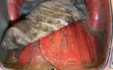 Jaguar-Mk-ii-1962-Red-Grey-6