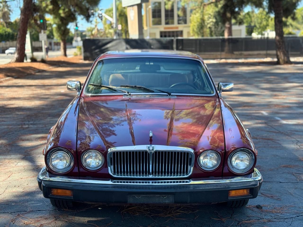 Jaguar-XJ6-1986-Sedan-3