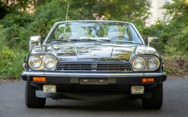 Jaguar-XJS-1991-Convertible-10