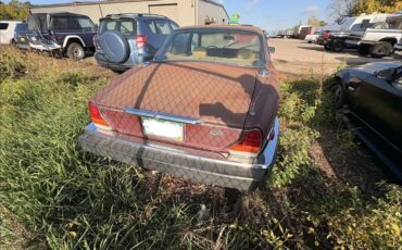 Jaguar-Xj-1983-Brown-Tan-1