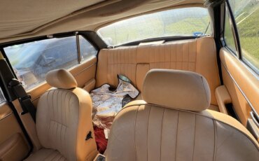 Jaguar-Xj-1983-Brown-Tan-3