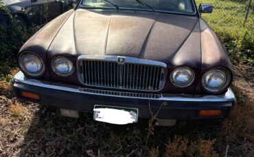 Jaguar-Xj-1983-Brown-Tan