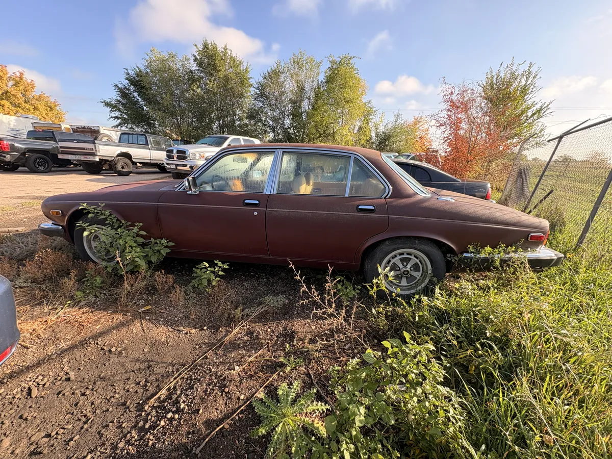 Jaguar-Xj-1983-Brown-Tan-4