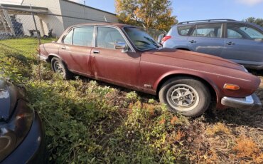Jaguar-Xj-1983-Brown-Tan-5