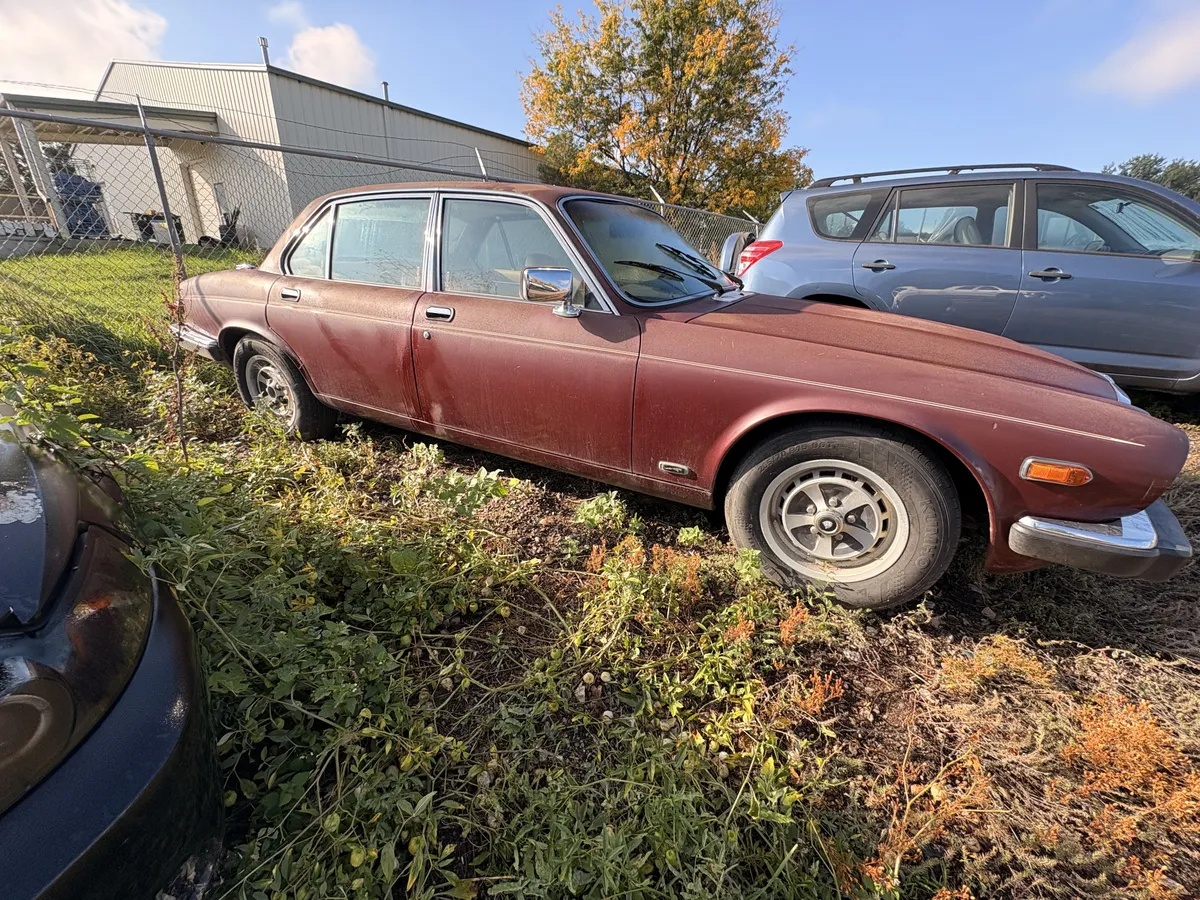 Jaguar-Xj-1983-Brown-Tan-5