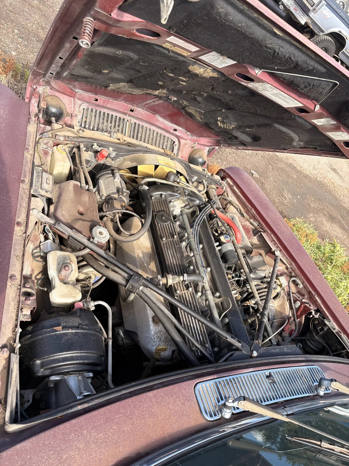 Jaguar-Xj-1983-Brown-Tan-8