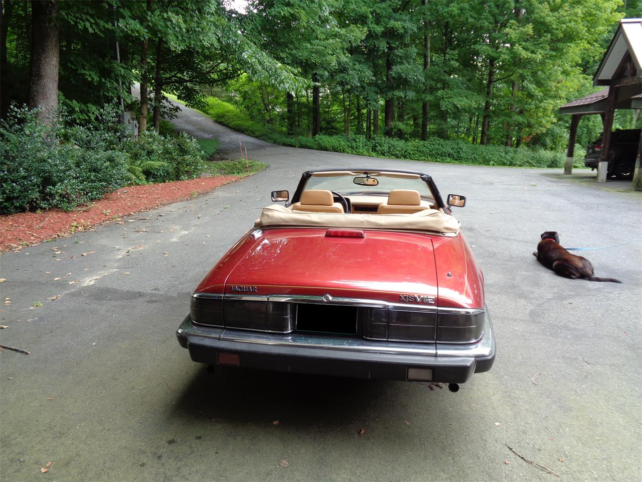 Jaguar-Xjs-1992-Red-Beige-19