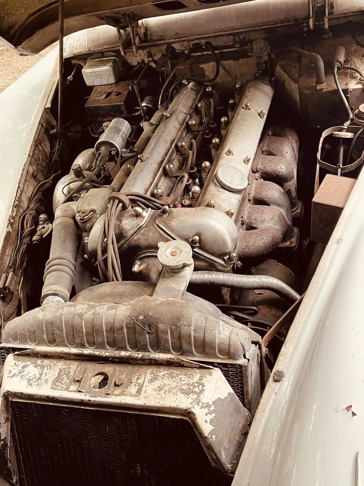 Jaguar-Xk150-1960-Olde-English-White-Red-4