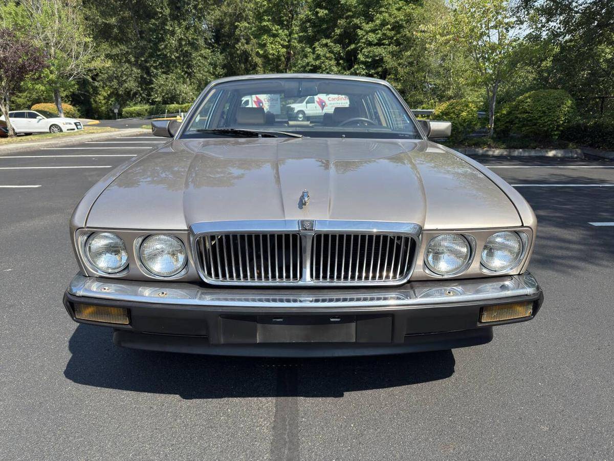 Jaguar-vanden-plas-1988-6