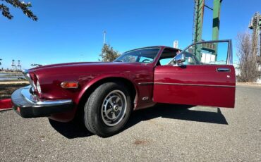 Jaguar-xj6-1984-red-4