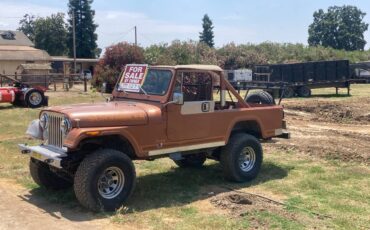 Jeep-1981-brown-2