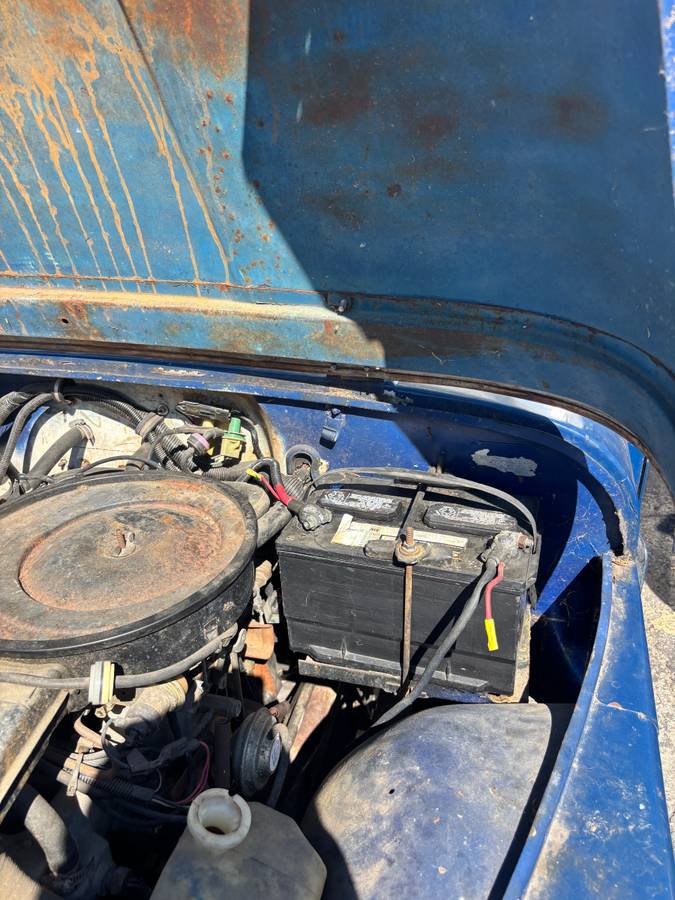 Jeep-1983-blue-13