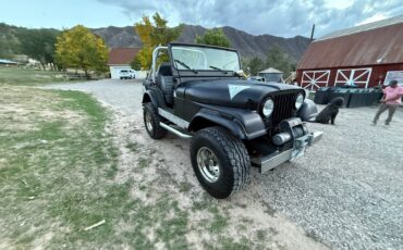 Jeep-CJ-1974-SUV-8