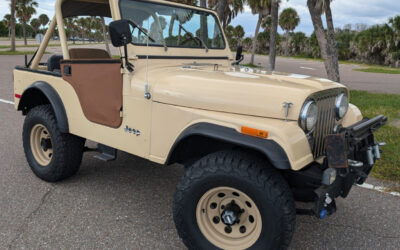 Jeep CJ 1979 SUV