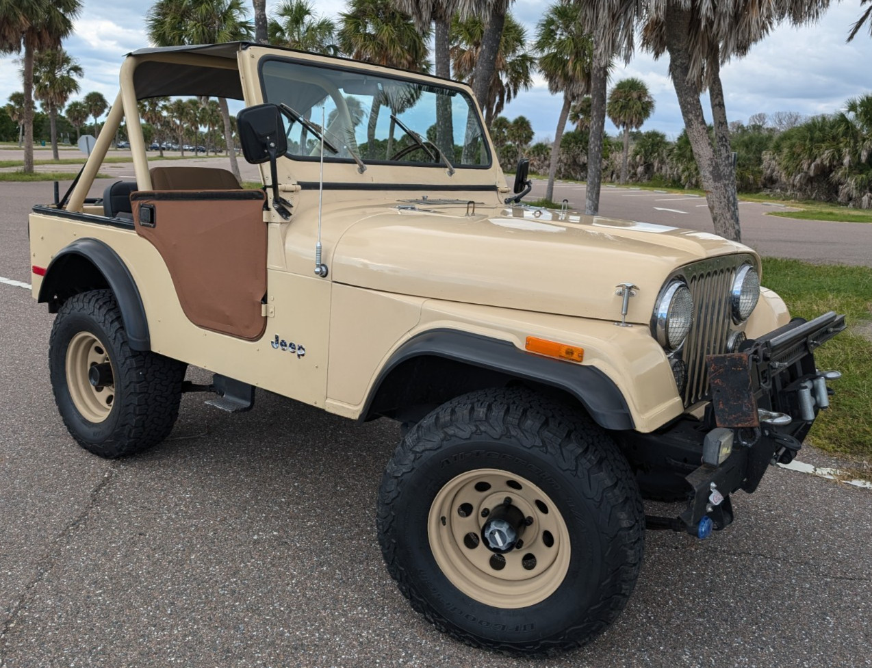 Jeep CJ 1979 SUV