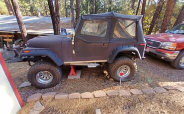 Jeep-CJ-7-1979-SUV-1