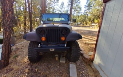 Jeep CJ-7 1979 SUV