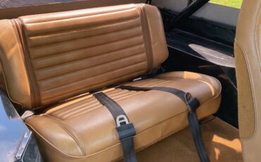 Jeep-Cj-1985-Classic-Black-W-Honey-5