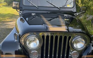 Jeep-Cj-1985-Classic-Black-W-Honey-8