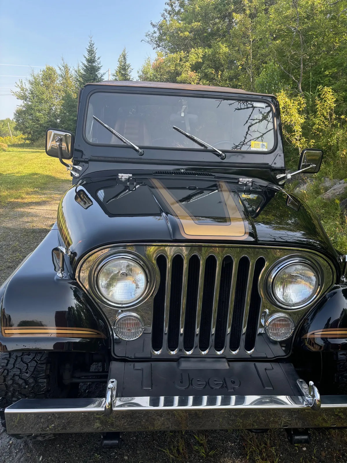 Jeep-Cj-1985-Classic-Black-W-Honey-8