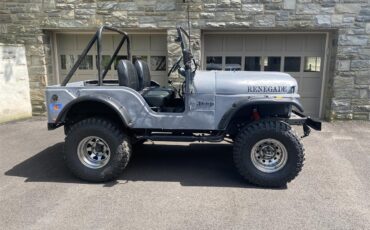 Jeep-Cj5-1974-Grey-Black-1
