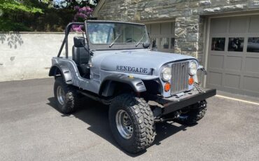 Jeep-Cj5-1974-Grey-Black