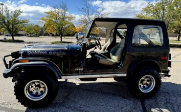 Jeep-Cj7-1979-Black-Black-10