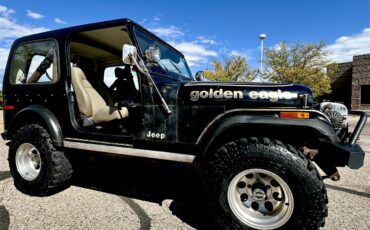Jeep-Cj7-1979-Black-Black-16