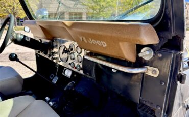 Jeep-Cj7-1979-Black-Black-28