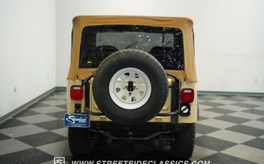 Jeep-Cj7-1981-Cameo-Tan-Nutmeg-40