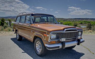 Jeep-Grand-wagoneer-1985-Sand-Tan-13