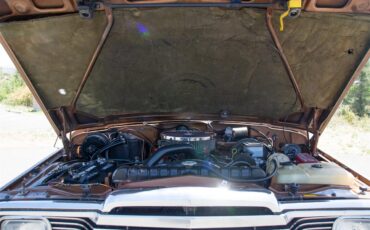 Jeep-Grand-wagoneer-1985-Sand-Tan-14