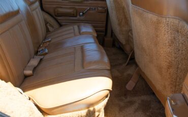 Jeep-Grand-wagoneer-1985-Sand-Tan-24