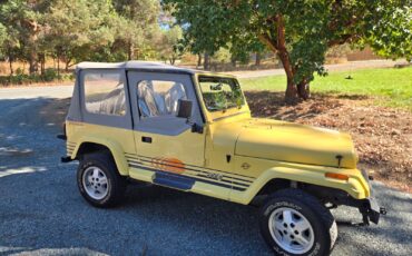 Jeep-Wrangler-1989-1