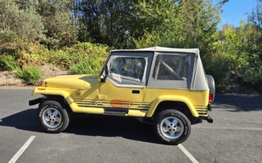 Jeep-Wrangler-1989-25