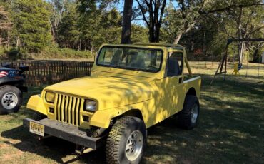 Jeep-Wrangler-1991-SUV-3