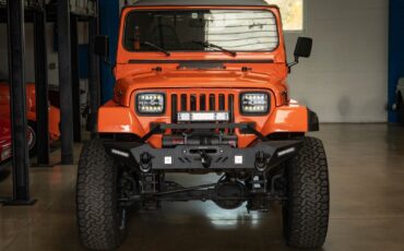 Jeep-Wrangler-Custom-1994-SUV-13