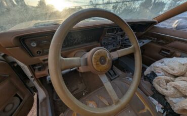 Jeep-cherokee-1985-brown-8
