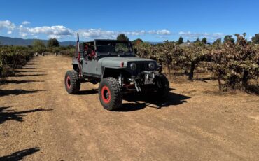 Jeep-cj-5-1974-1