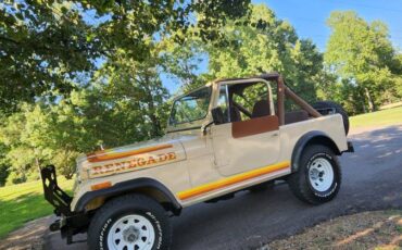 Jeep-cj-7-open-body-std.-1981-custom-10